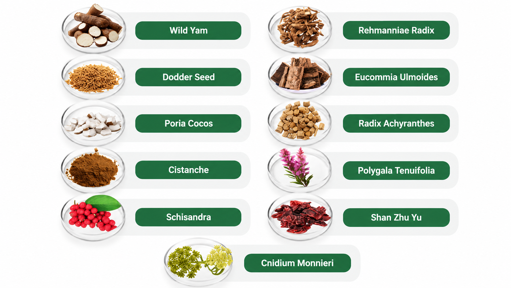 DigestiStart ingredient information infographic