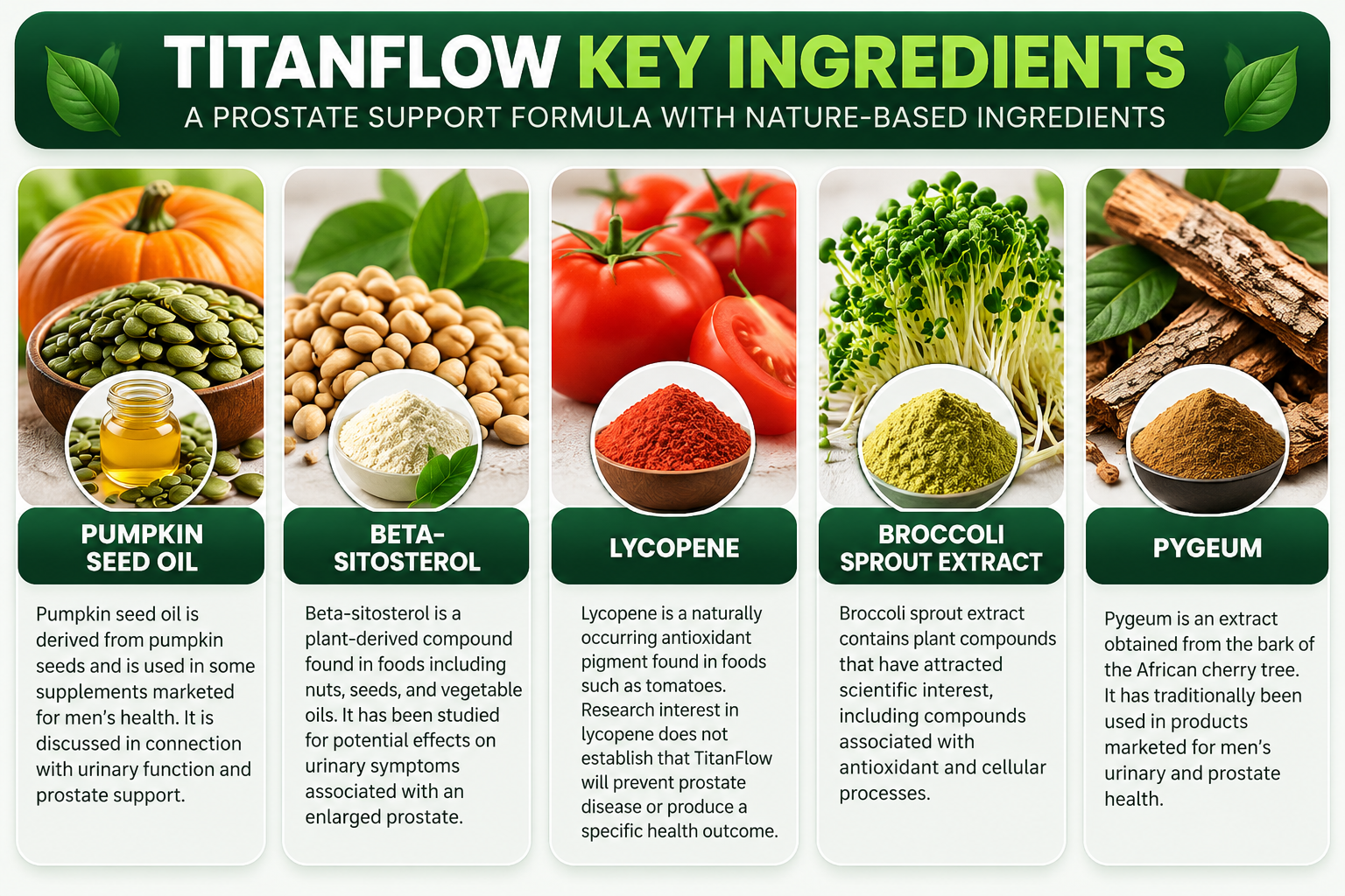 TitanFlow ingredients infographic showing pumpkin seed oil, beta-sitosterol, lycopene, broccoli sprout extract, and pygeum